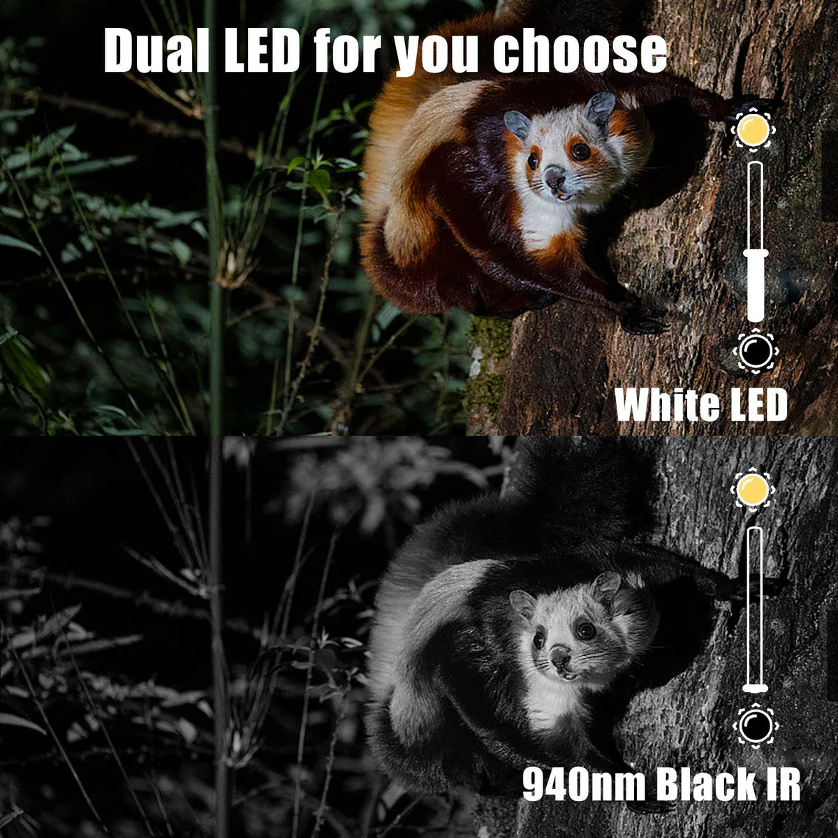 BolyGuard BG410-D 37MP 4K Trail Camera HD Dual Flash 940nm Invisible IR White LED IP66 Waterproof Hunting Game Cam Solar Ready
